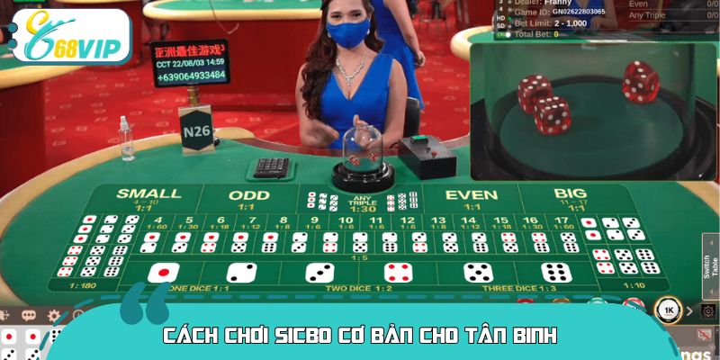 Cách chơi sicbo cơ bản cho tân binh
